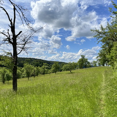 24-05-18 15-36-56 9469